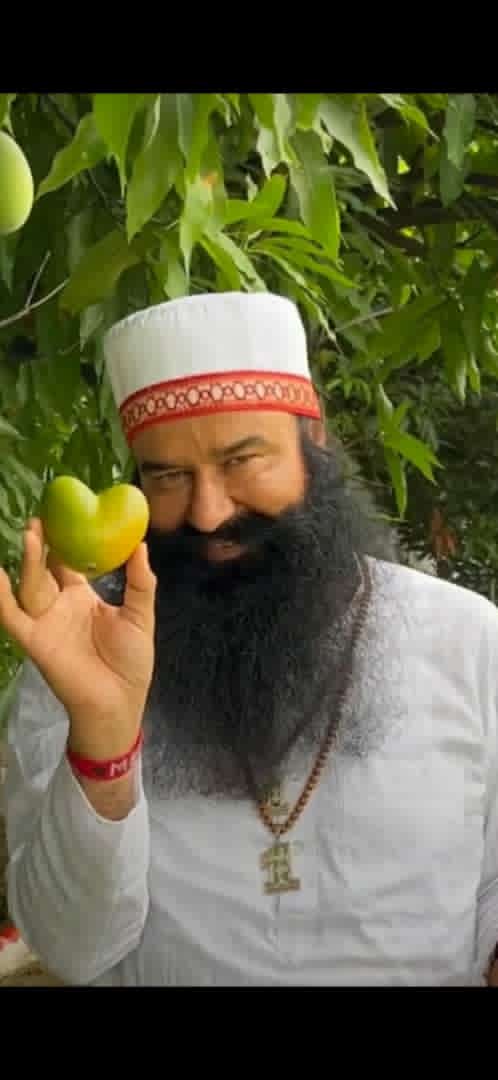 InsanNeeru2's tweet photo. जब दिलदार सामने आया तो,
आम का पेड़ भी अपने आपको
रोक न पाया और अपना दिल दे बैठा।❤️ https://t.co/eDXQXXxsbG