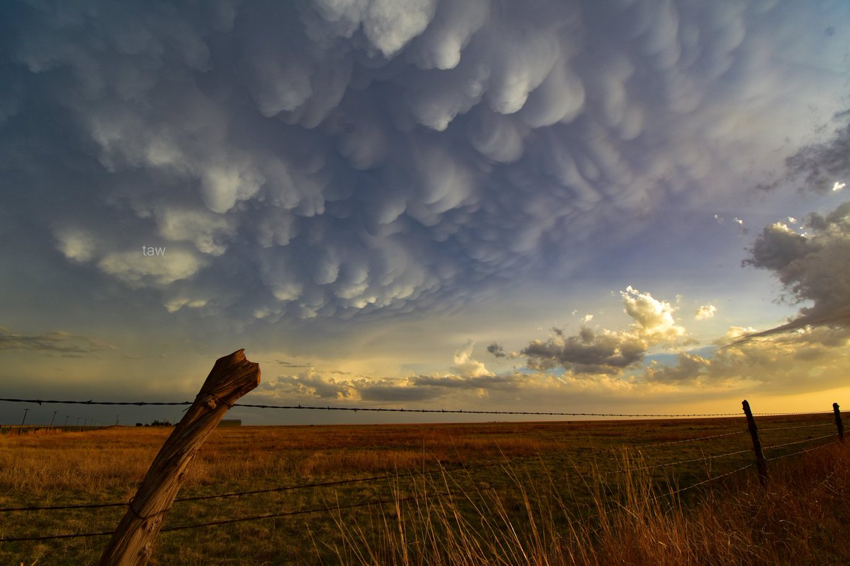 Texas Mammatus Clouds