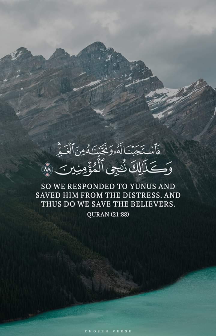 almoshaf_algame's tweet photo. https://t.co/7QOwU1GD4c