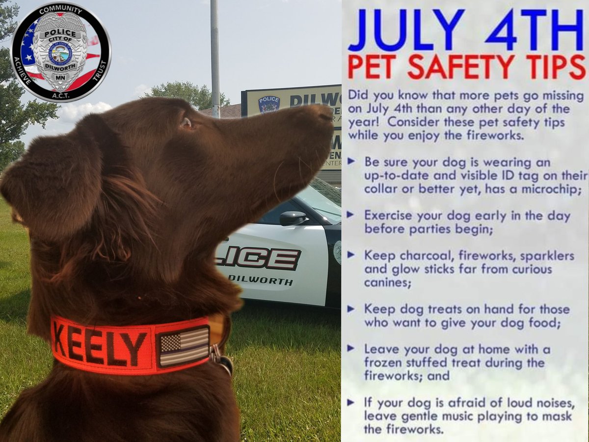 A few safety tips for the Holiday Weekend #mnpolice #therapy #policek9 #therapydog #therapyk9 #StrangerThings #StrangerThings4 #cityofdilworth