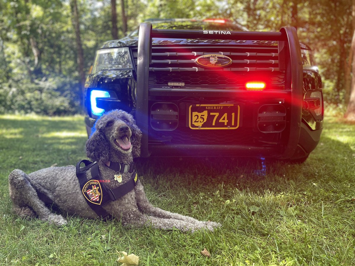 FCSOCrisisK9's tweet photo. Our team wishes each and every one of you a very Happy 4th of July weekend. Be safe and lead with kindness! https://t.co/nUIZ5qS7M1