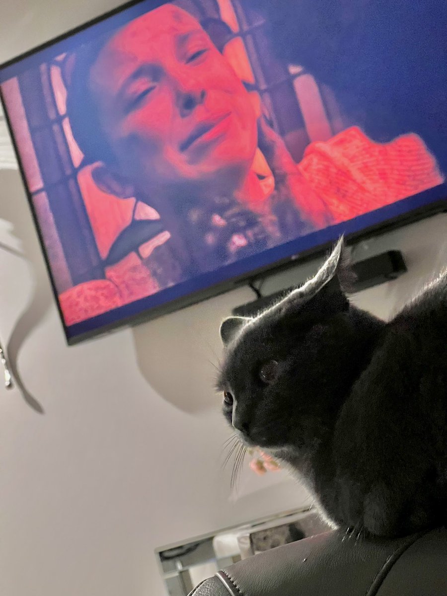 nawidorokzai's tweet image. #StrangerThings