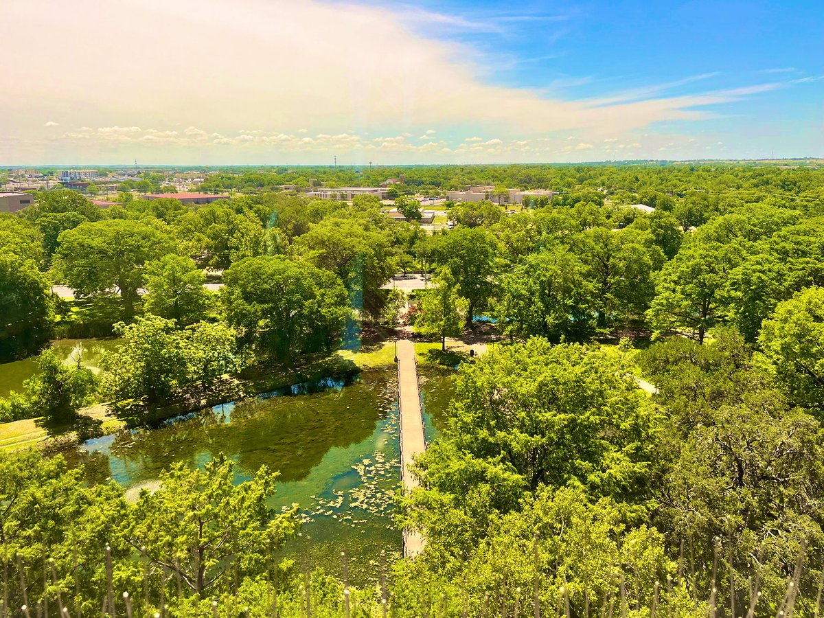 Our kids were blown away by the natural and architectural beauty of the campus. The pics are of is History Department’s courtyard, the LBJ statue, Old Main, and a view from my office. The Texas Hill Country is the perfect setting for the most beautiful campus in the state.🐾