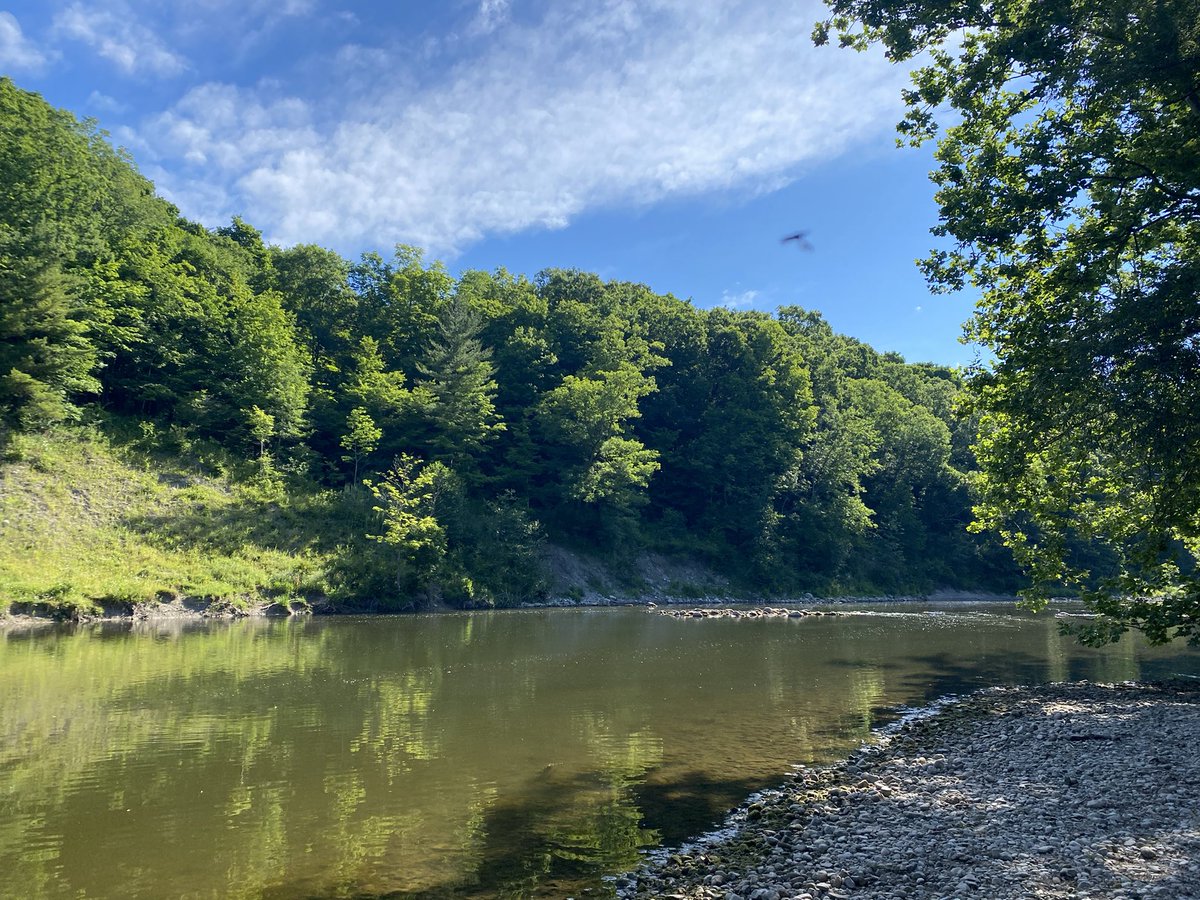 Mike Phillips (he/him) tweet media