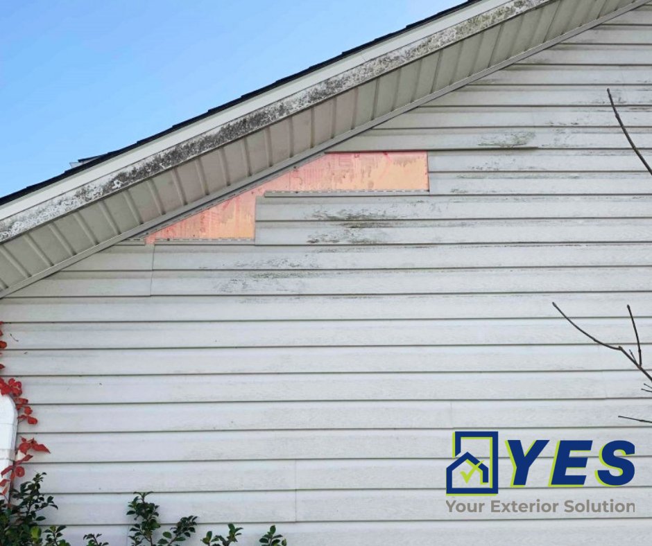 YESContracting's tweet photo. A small section of missing siding can allow a large amount of damage from moisture and pests. If you notice part of your siding missing, address it right away!

We are Your Exterior Solution!

Visit our website or give us a call to schedule a free estimate!

📞 423-764-8276 https://t.co/s29TrMYVjY