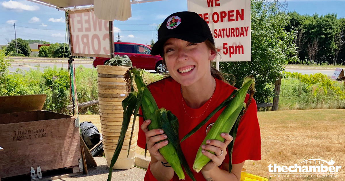 My_Chamber's tweet photo. The corn stand is back for another season in our parking lot starting today !!! Drop by 750 Hespeler Rd. for some delicious locally-grown produce !!! #cornstand #shoplocal #cbridge #barbsproduce https://t.co/Fo0AgEHN0Y
