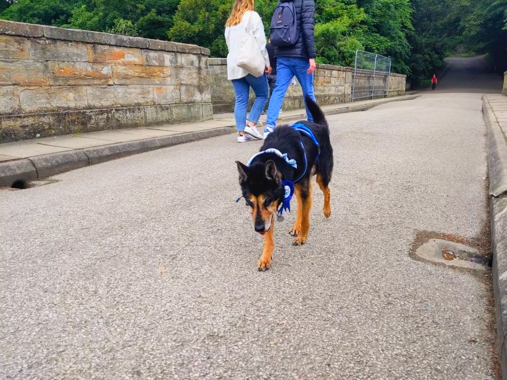 Cain 🌈 tweet media