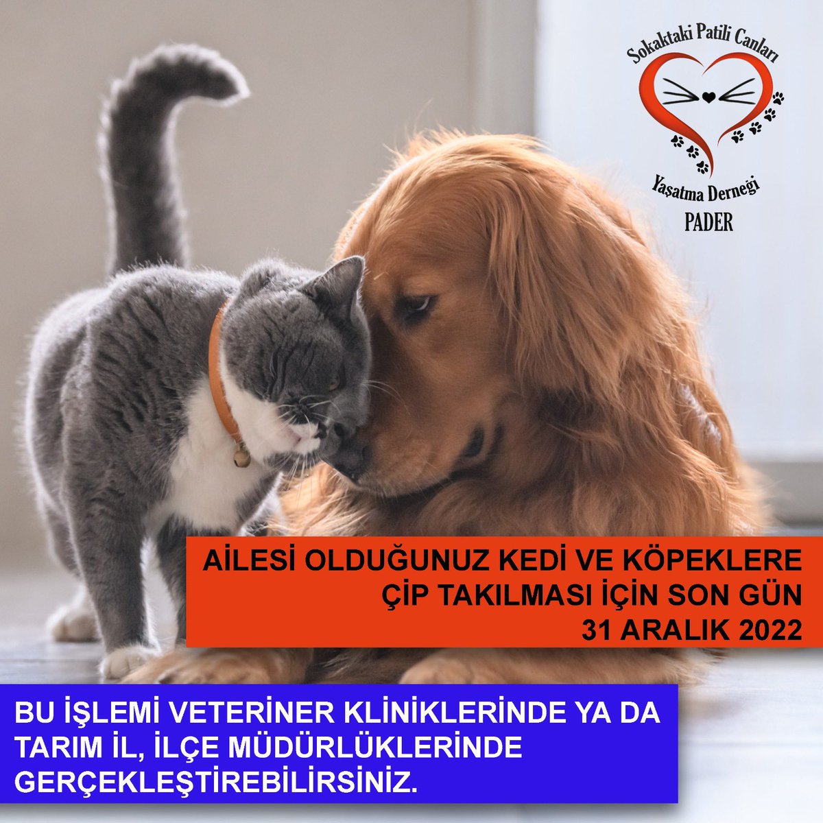 Barınak sahipleri dahil.