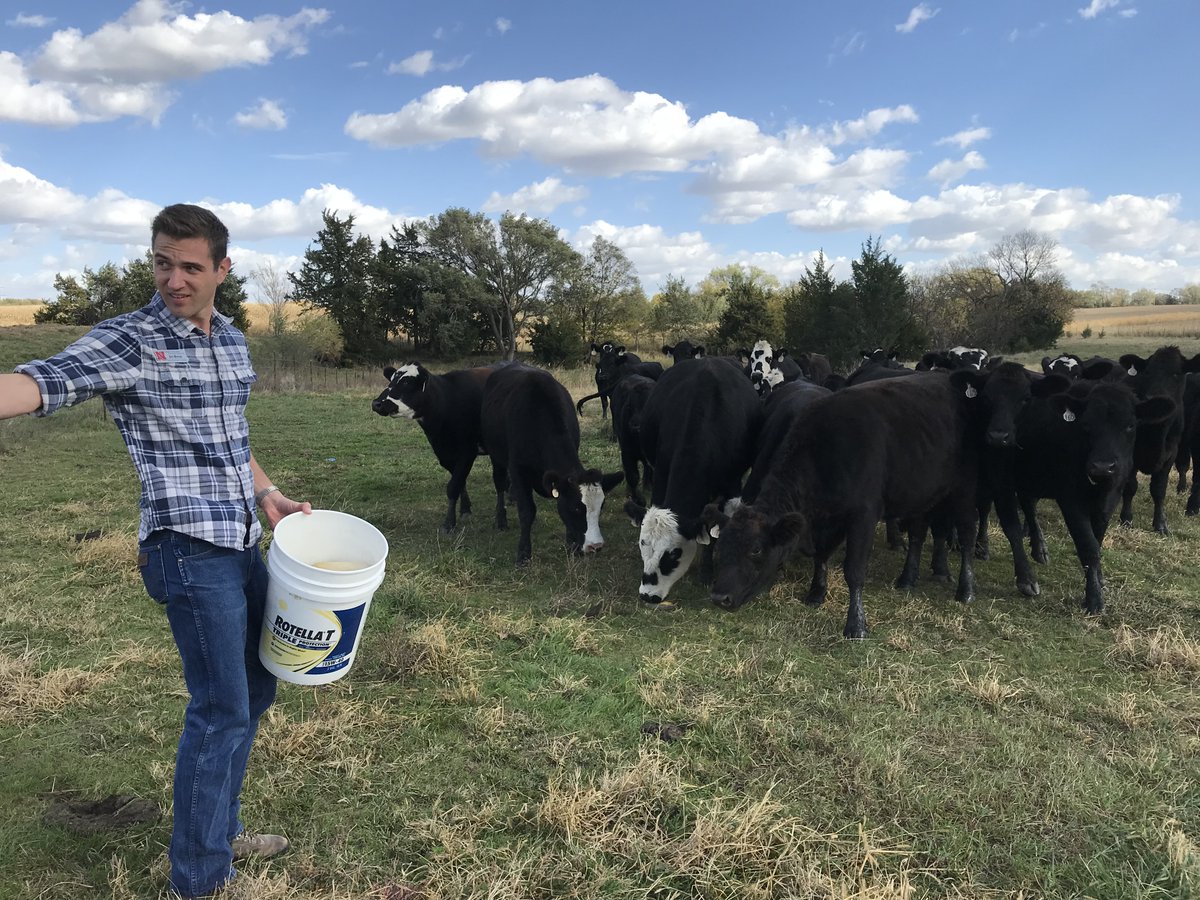 CEHS_global's tweet photo. After five years, this Global Exg. Coordinator is leaving with high hopes for humanity after having worked with students from the People's College, @UNL_CEHS , in India, Germany, Nebraska farms, Finland, Montana, and the U.K. Many thanks for the memories. https://t.co/Uw1ntp4Wae