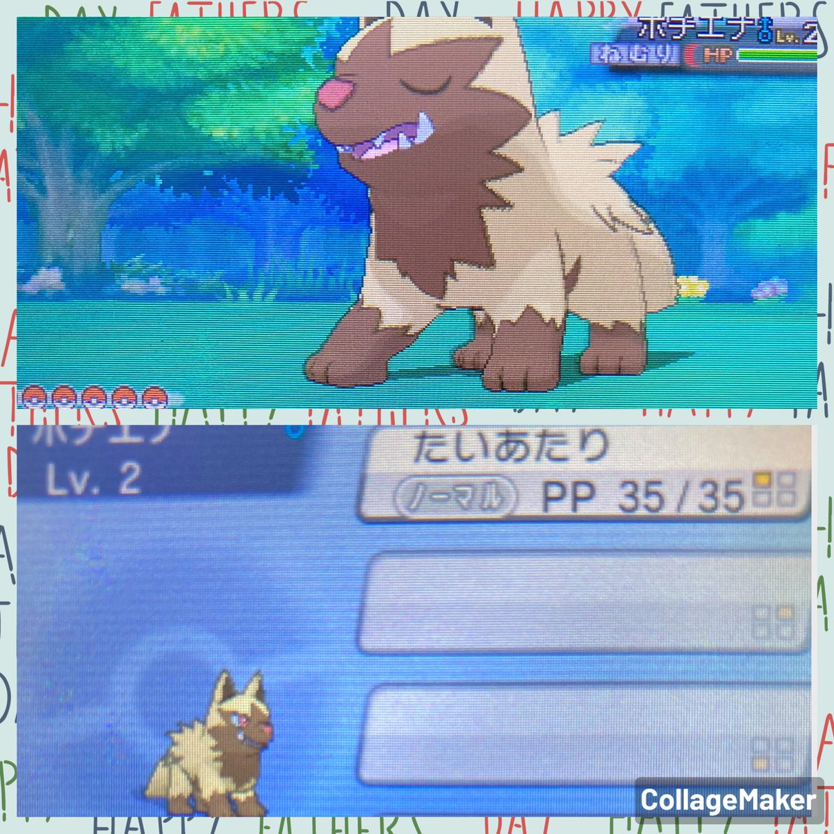 ポケモンgo ポチエナの色違い 入手方法と実装状況 攻略大百科