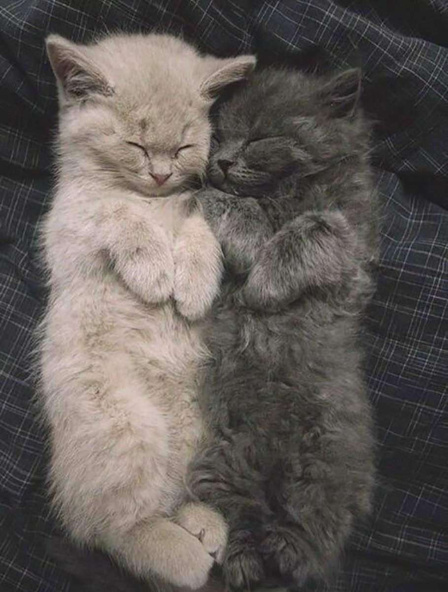 Batuhan : Anılla yan yana yatıyorduk