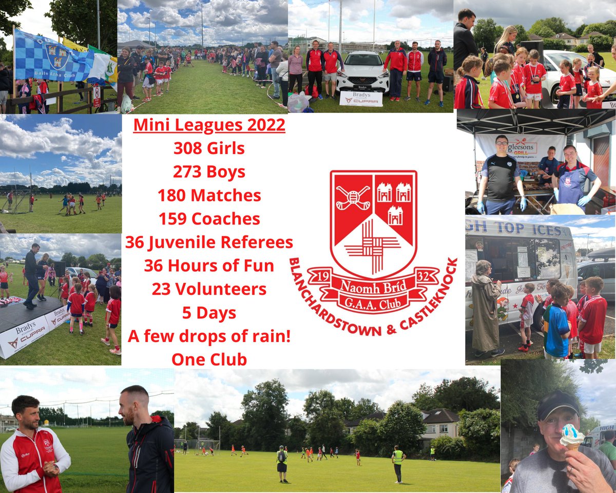 St. Brigid's GAA tweet media