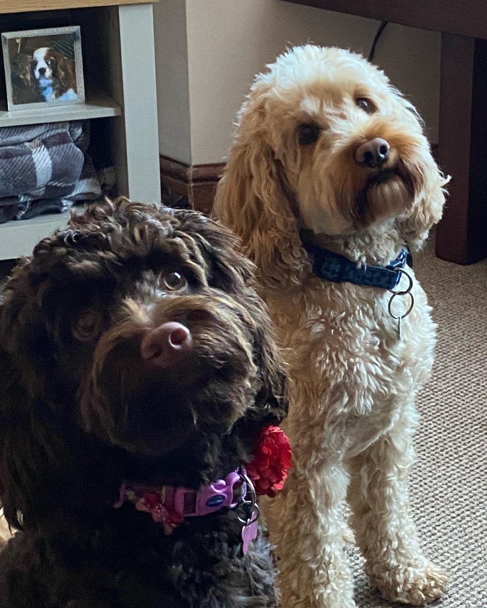 Debra Hughes tweet media