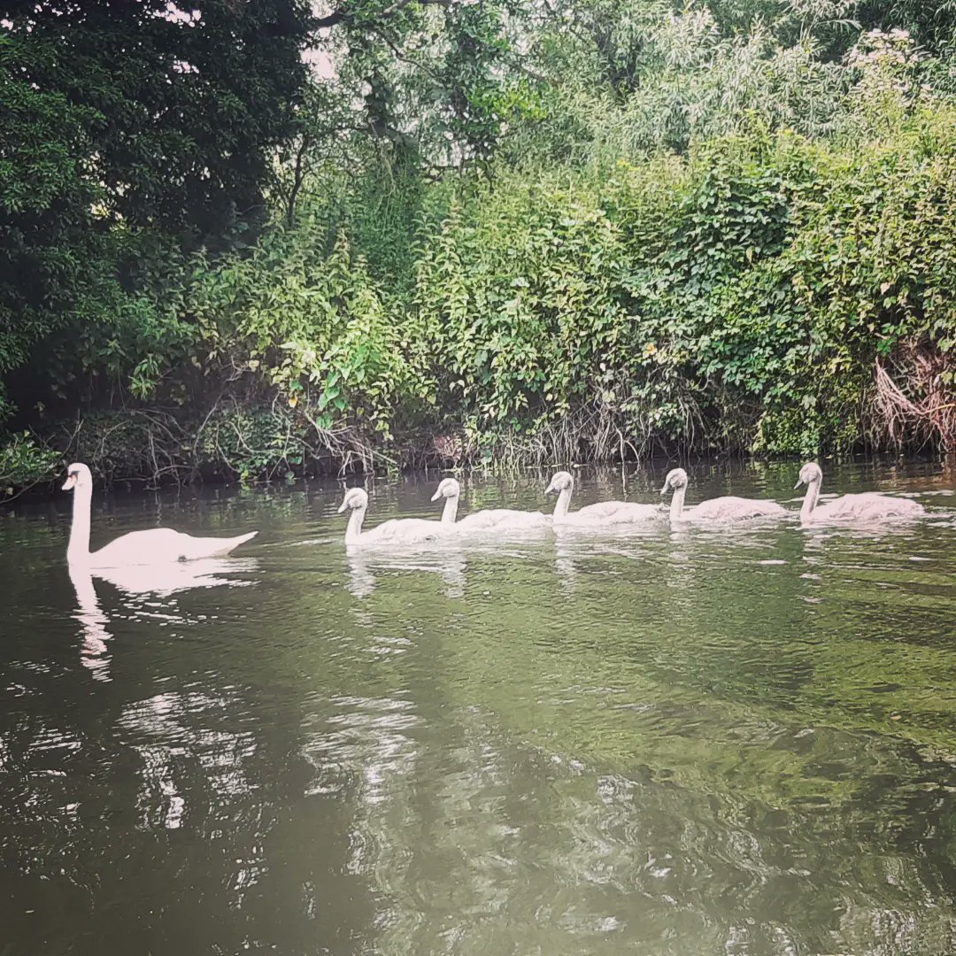 Lovely sunset SUP today. One less bottle on its way to sea.

#keepbritaintidy #recycling #isthisyours #littering #plogging #plogging
#lovewhereyoulive #2minutelitterpick
#1pieceaday #rivercleanup #sustainability #pollution  #dechets #müll #2minutebeachclean #rivercleanup