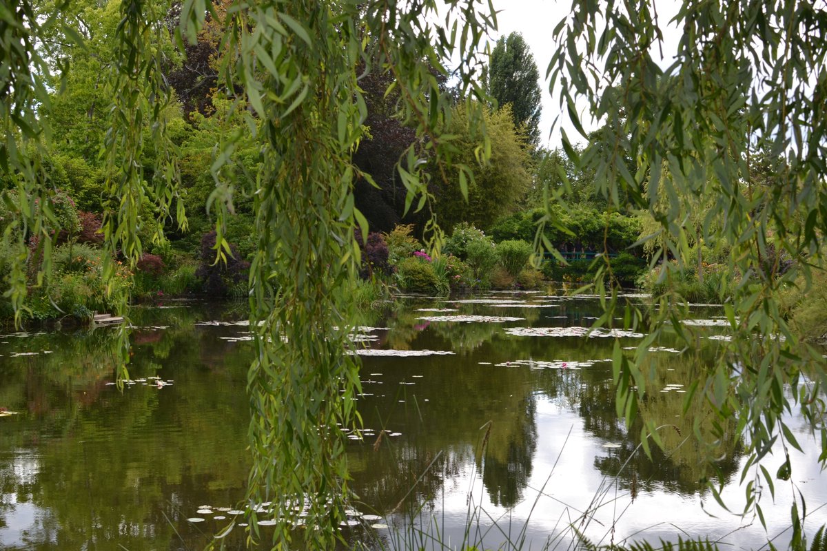 robrebbitt's tweet photo. Great day out at the gardens of Monet. https://t.co/K4bRZ5KU6P