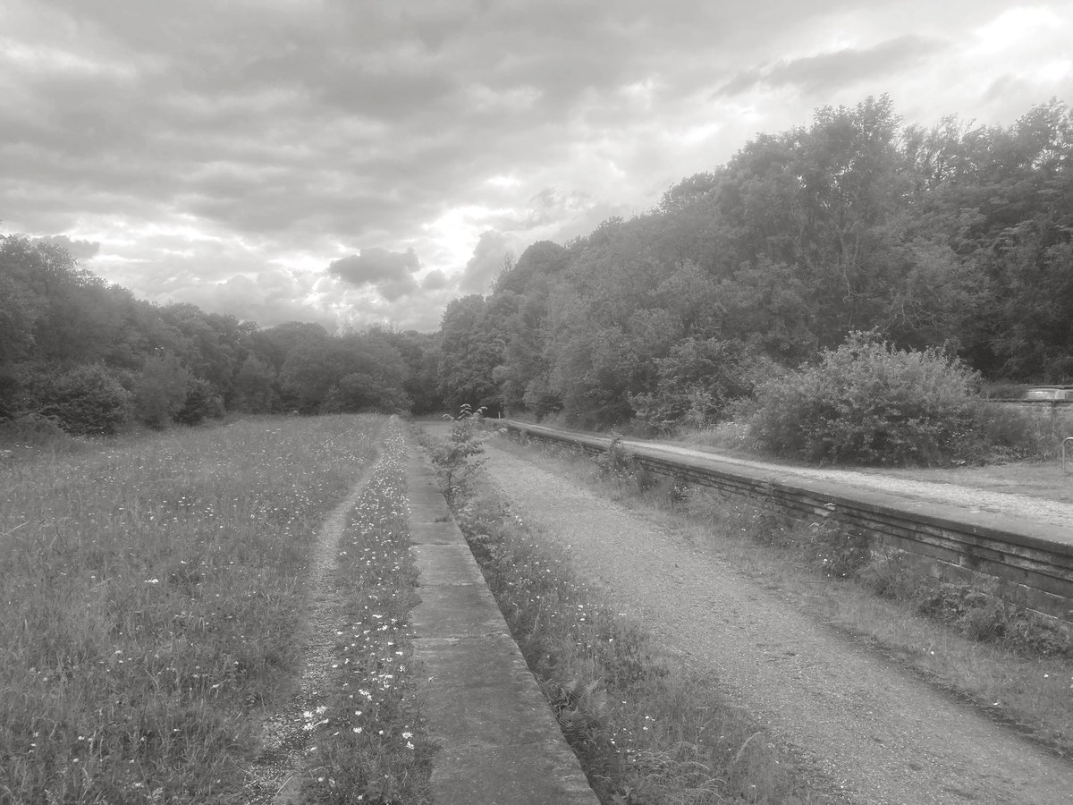 Kevin Mottram tweet media