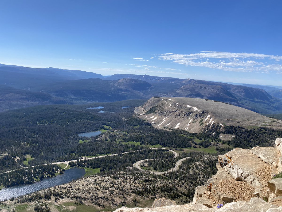 Aaron Leifer tweet media