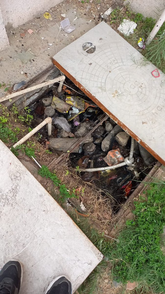 AlkaSahu tweet media