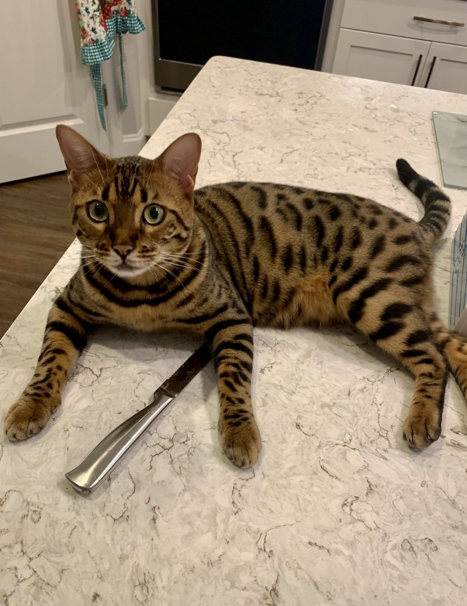 Fabriannie aka KCBC aka FabArtsyCreations tweet media