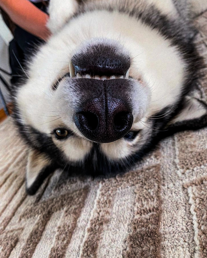 ⠀             ⠀❥ 𝒃𝑎𝒃𝑖𝒆𝒔.