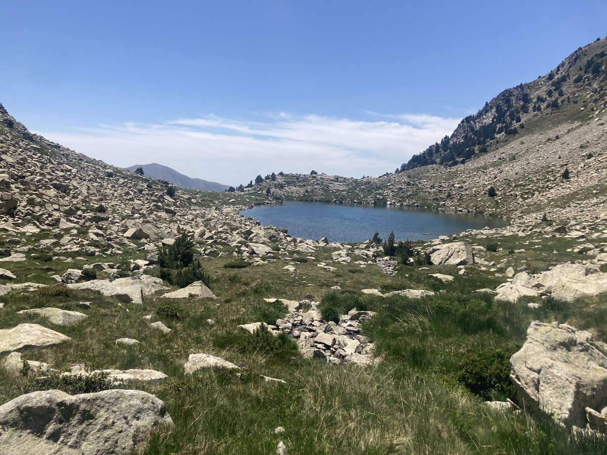 Divinafajust's tweet photo. #EpicTrailTV3 Retransmissió espectacular!! Quin territori q tenim x correr, caminar i x fer-ho TOT. Gracies @ocisport x confiar 1 any mes amb @ValldeBoi 📸 Amb voluntaries 🔝🔝d’avituallament del Pont de Sant Martí i participants 40km i excursionistes #valentes 💜💜 #pessons https://t.co/npg7Fa6deR