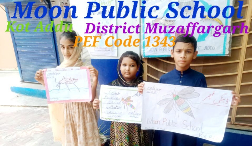 TayyabAliMujah2's tweet photo. Anti Dengue Day at Moon Public School Kot Addu District Muzaffargarh
PEF CODE FAS 1343
#PEFANTIDENGUE https://t.co/R5yrOBaTwB