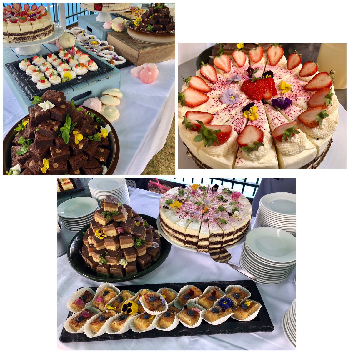 Tracy Twinn tweet media