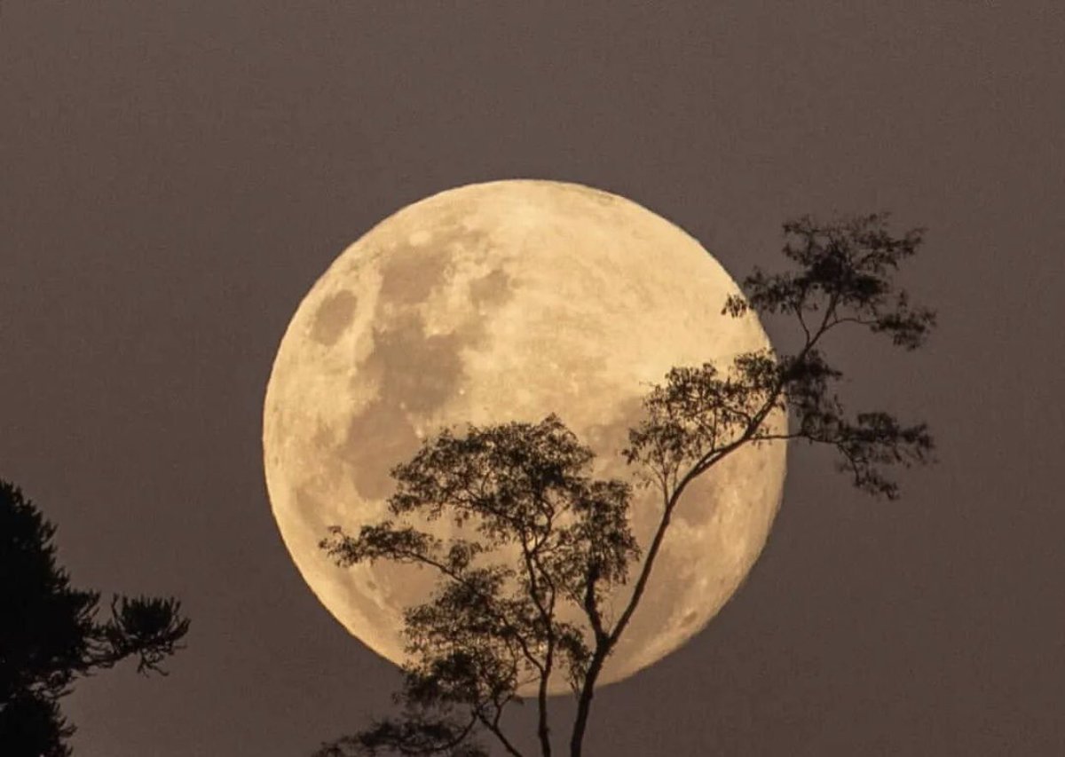 Good night Saturday night Dear Twitter Friends