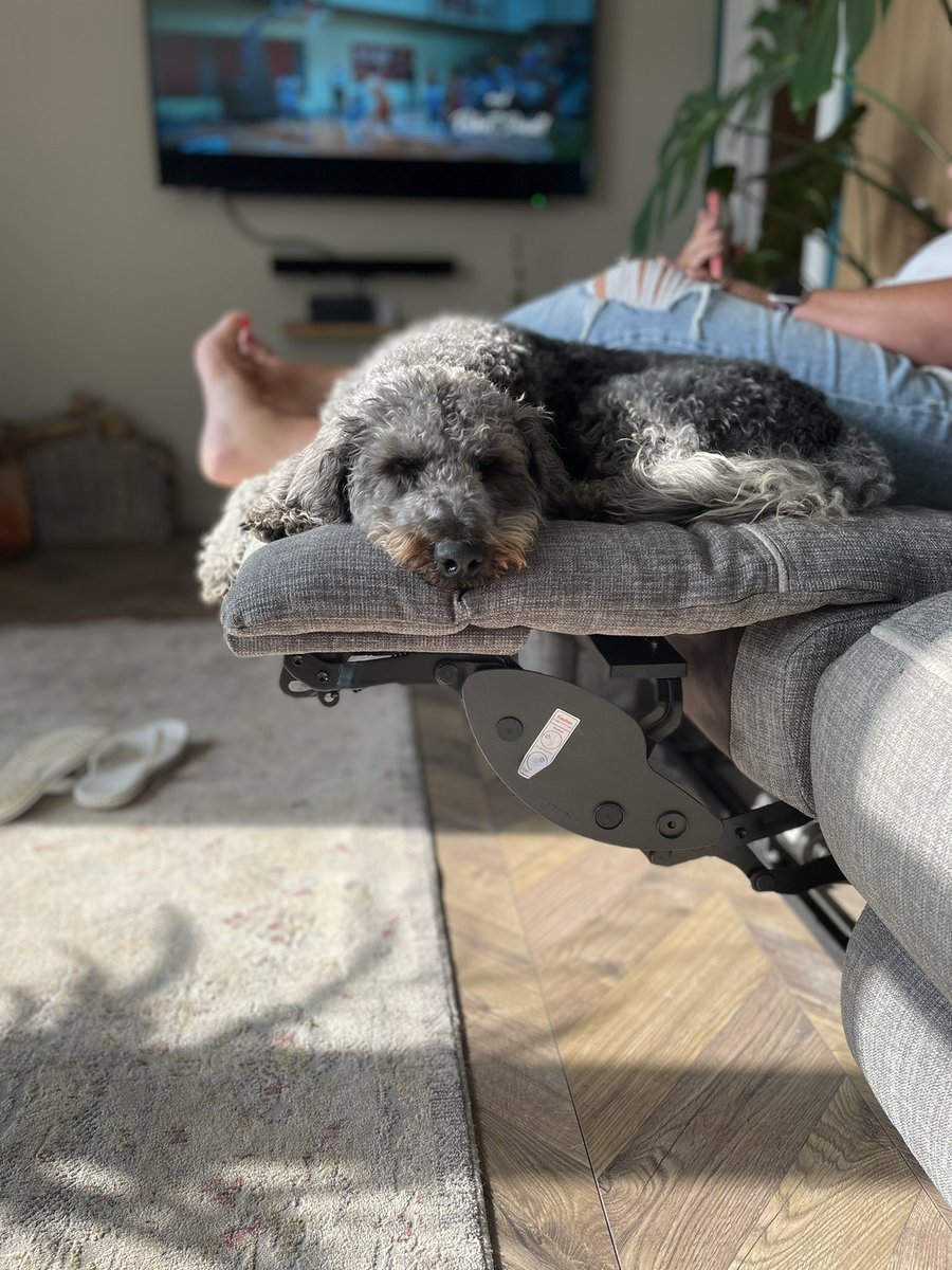 WilsonandJim1's tweet photo. Love laying on the edge of the rise recliner 😴🐶🐶 https://t.co/9OmOcAFhaD