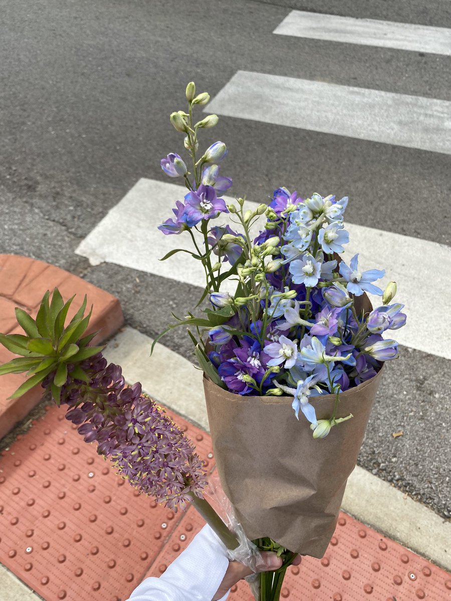 jentlejungle's tweet photo. bought myself flowers this morning i am officially turning into my older sister and my mom https://t.co/MSdICtTRVo