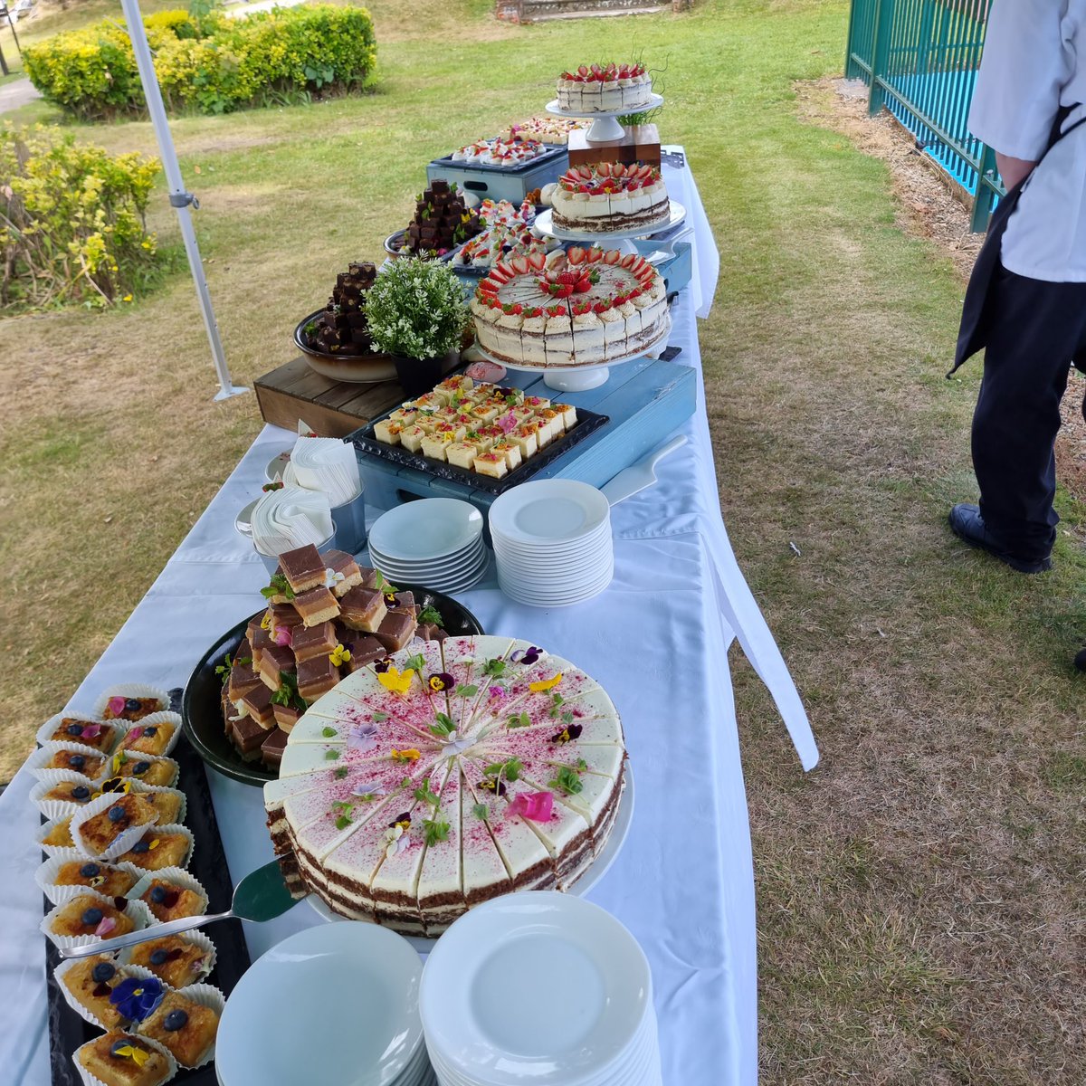 Van T Ta tweet media