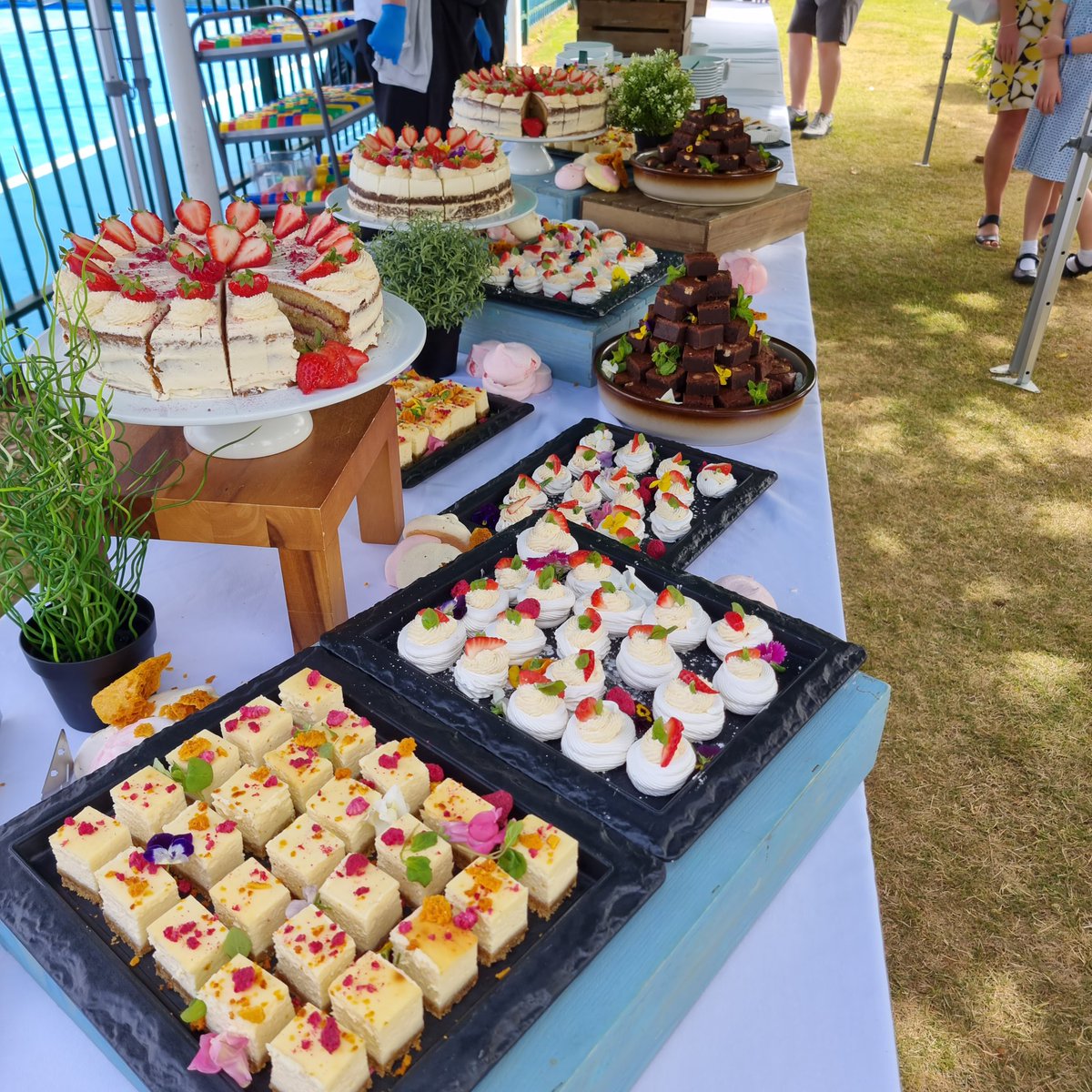 Van T Ta tweet media