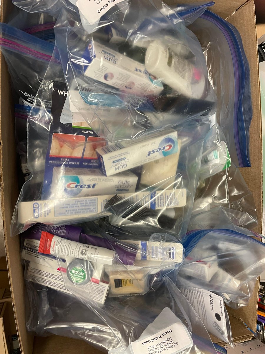 We're so grateful for #KidsHelpingKids and amazing community champions! 

The 1st Crocus Trefoil Guild, Girl Guides of Canada donated care kits for kids <a href="/hsc_winnipeg/">HSC Winnipeg</a> Children's.

Thank you for this generous gesture, 1st Crocus Trefoil Guild!

#ContinueCaringForKids