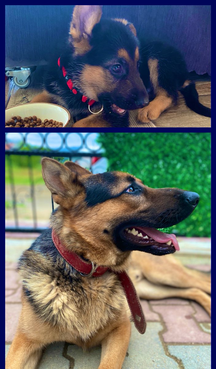 Bu aşk değil de ne…?
#yaman