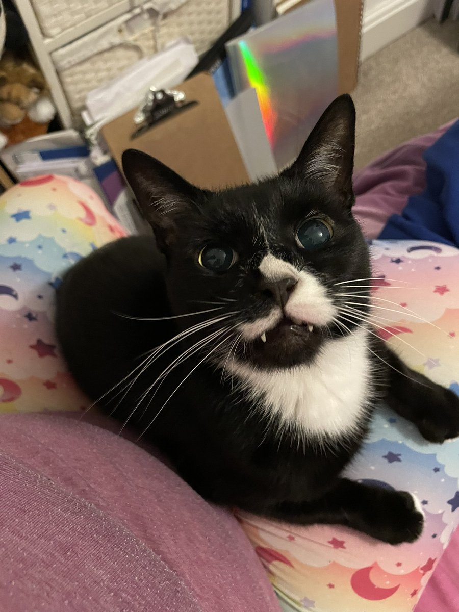 Stephi Walker tweet media