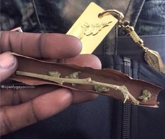 DiCaprio 🫶 tweet media