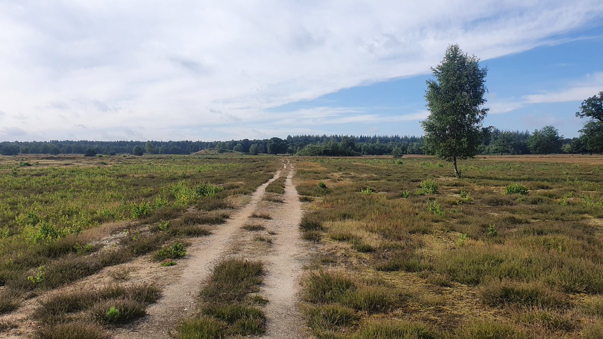 ambulare2's tweet photo. Het wandelen begon als een hobby met het genieten van de buitenlucht en de natuur. Nu heb ik het voorrecht om een wandelgids te maken met wandelingen in mijn achtertuin. Houd het nieuws in de gaten over de wandelgids 'Wandelen in de Meijerij'. @rutgerburgers @WolfsWandelplan https://t.co/wEFRmKhKqu