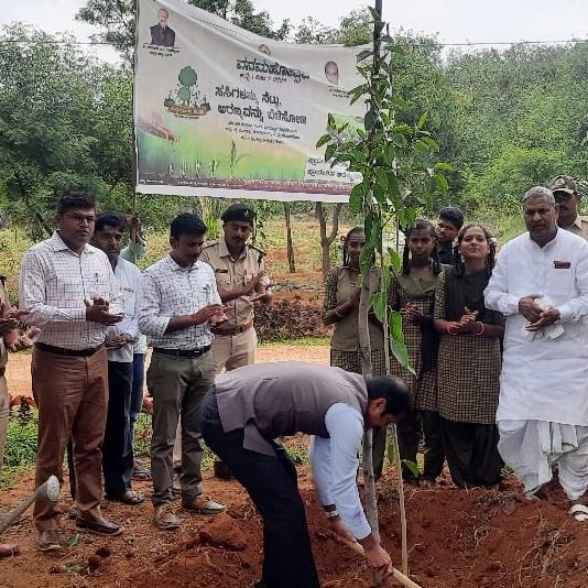 DcfForest's tweet photo. ಇಂದು ಕುಷ್ಟಗಿ ಪ್ರಾದೇಶಿಕ &amp; ಸಾಮಾಜಿಕ ಅರಣ್ಯ ವಲಯಗಳ ಸಹಯೋಗದೊಂದಿಗೆ ಗುಡಿಕಲಕೇರಿ ಗ್ರಾಮದಲ್ಲಿ ವನಮೋತ್ಸವ ಕಾರ್ಯಕ್ರಮವನ್ನು ಆಚರಣೆ ಮಾಡಲಾಯಿತು. ಕಾರ್ಯಕ್ರಮದಲ್ಲಿ ಮಾನ್ಯ ಶಾಸಕರಾದ ಶ್ರೀ ಅಮರೇಗೌಡ ಬಯ್ಯಾಪುರ, ಸ.ಪ್ರಾ. ಶಾಲಾ ಮಕ್ಕಳು, ಶಿಕ್ಷಕರು ಹಾಗೂ ಎಲ್ಲಾ ಸಿಬ್ಬಂದಿಗಳು ಭಾಗವಹಿಸಿದ್ದರು.@BSBommai @aranya_kfd @AnandSinghBS https://t.co/niw90g1II4