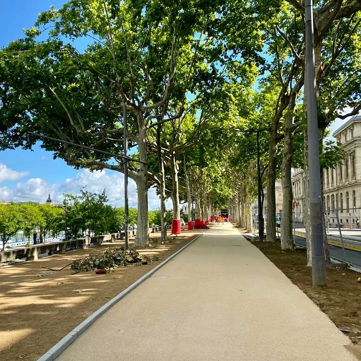 Fabien_Bagnon's tweet photo. 😍 Le 1er tronçon de la 1ère Voie Lyonnaise 🚴‍♀️🚴‍♂️ est juste magnifique !
➡️ Son revêtement présente de nombreuses qualités :
✅ clair pour réduire les îlots de chaleur ❄
✅ perméable pour infiltrer la pluie 💧
✅ beige pour s'assortir avec le stabilisé de l'allée cavalière https://t.co/sBhrLFNtlP