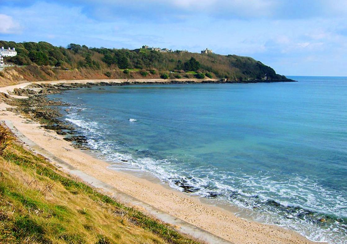 Cornwall. Summer restrictions for dogs on many popular beaches updated from 1 July.