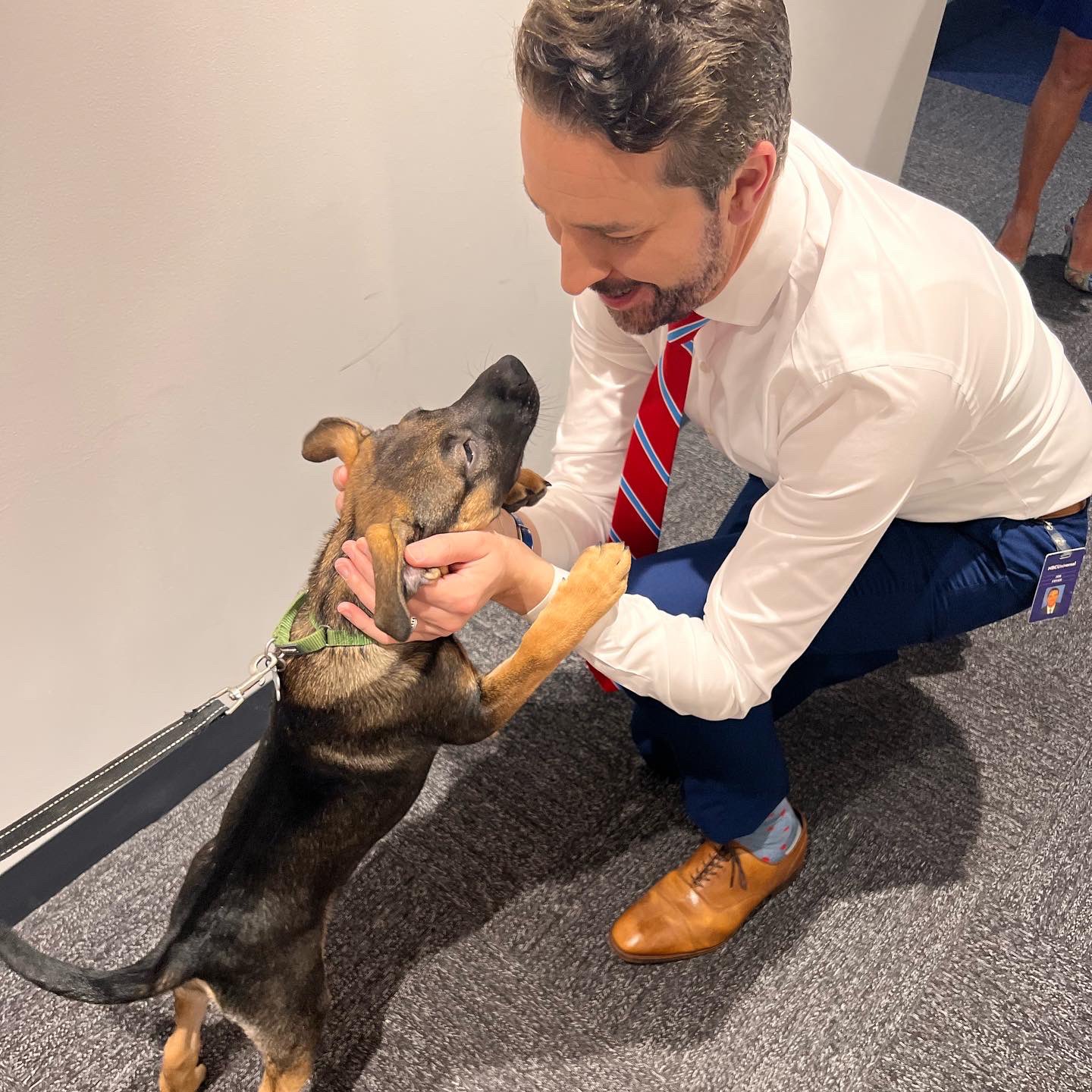Joe Fryer on Twitter "We went to the dogs today on Saturday TODAYshow