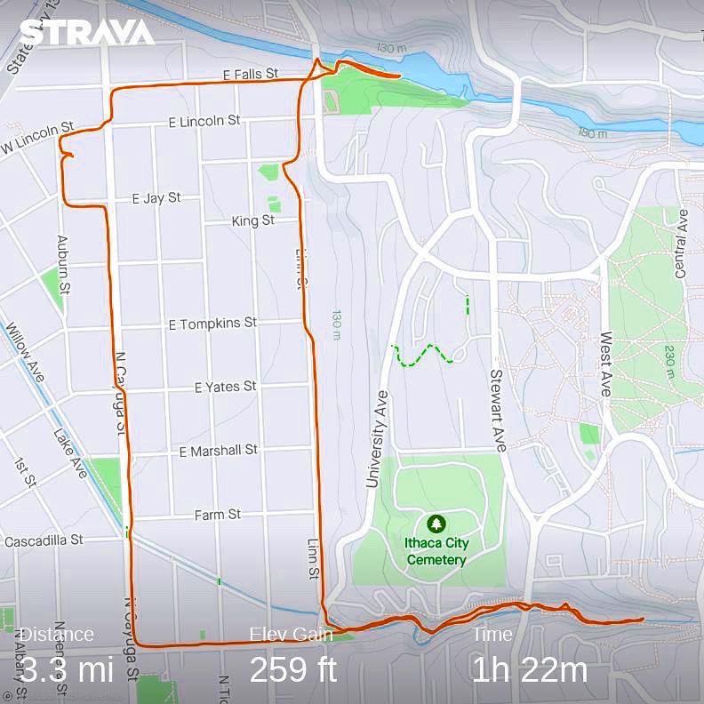 debinithaca's tweet image. Two waterfall walk! #ithacafalls #cascadillagorge #visitithaca #dogwalk