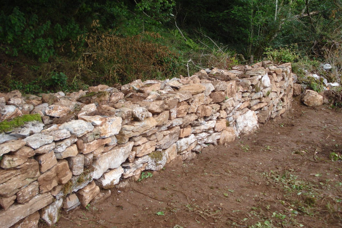 One way to spend a Saturday. Good day but had to shift a lot of stone. Near Ipplepen, south Devon #DryStoneWalls #HeritageCrafts