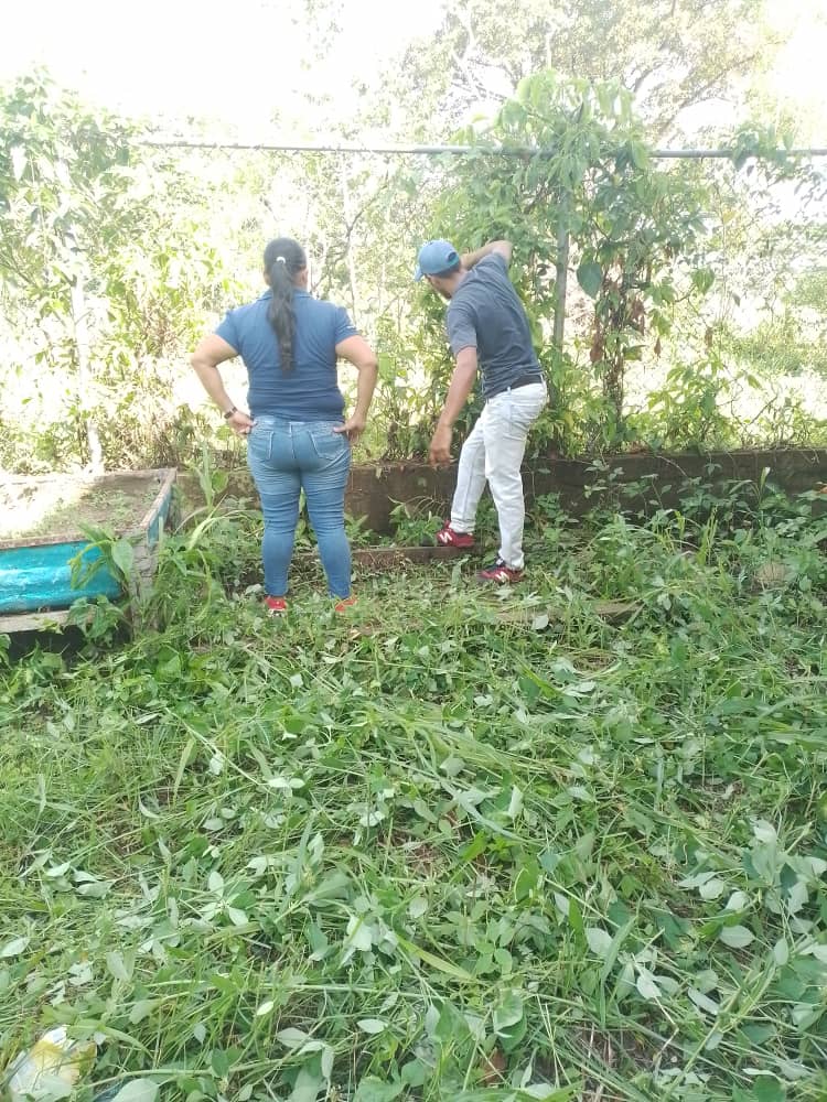 #BricomilesActivasEnEducacion del Municipio Panamericano Estado TÁCHIRA. Docentes, representante y Comunidad de la UñE.N Pablo Vicente Jaime. Sector el 100