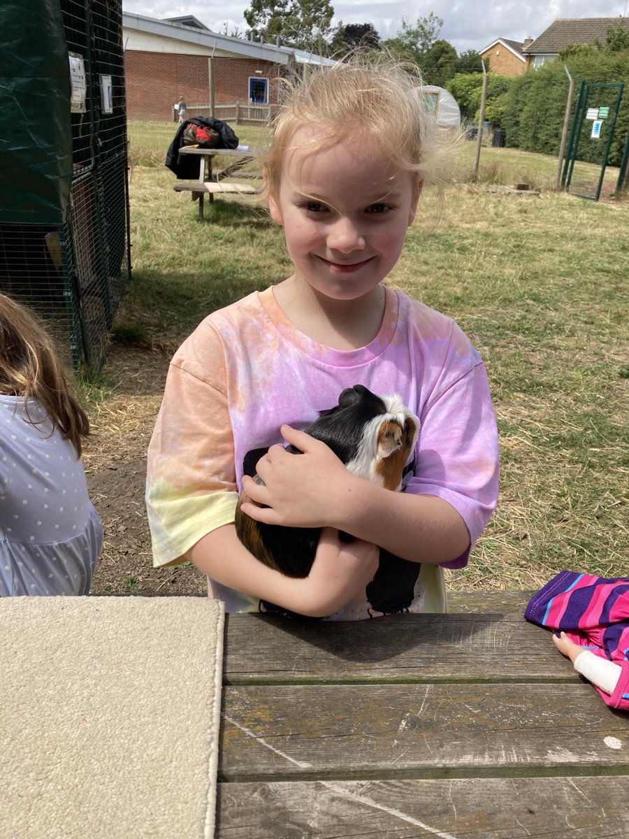 South Wilford CE Primary School tweet media