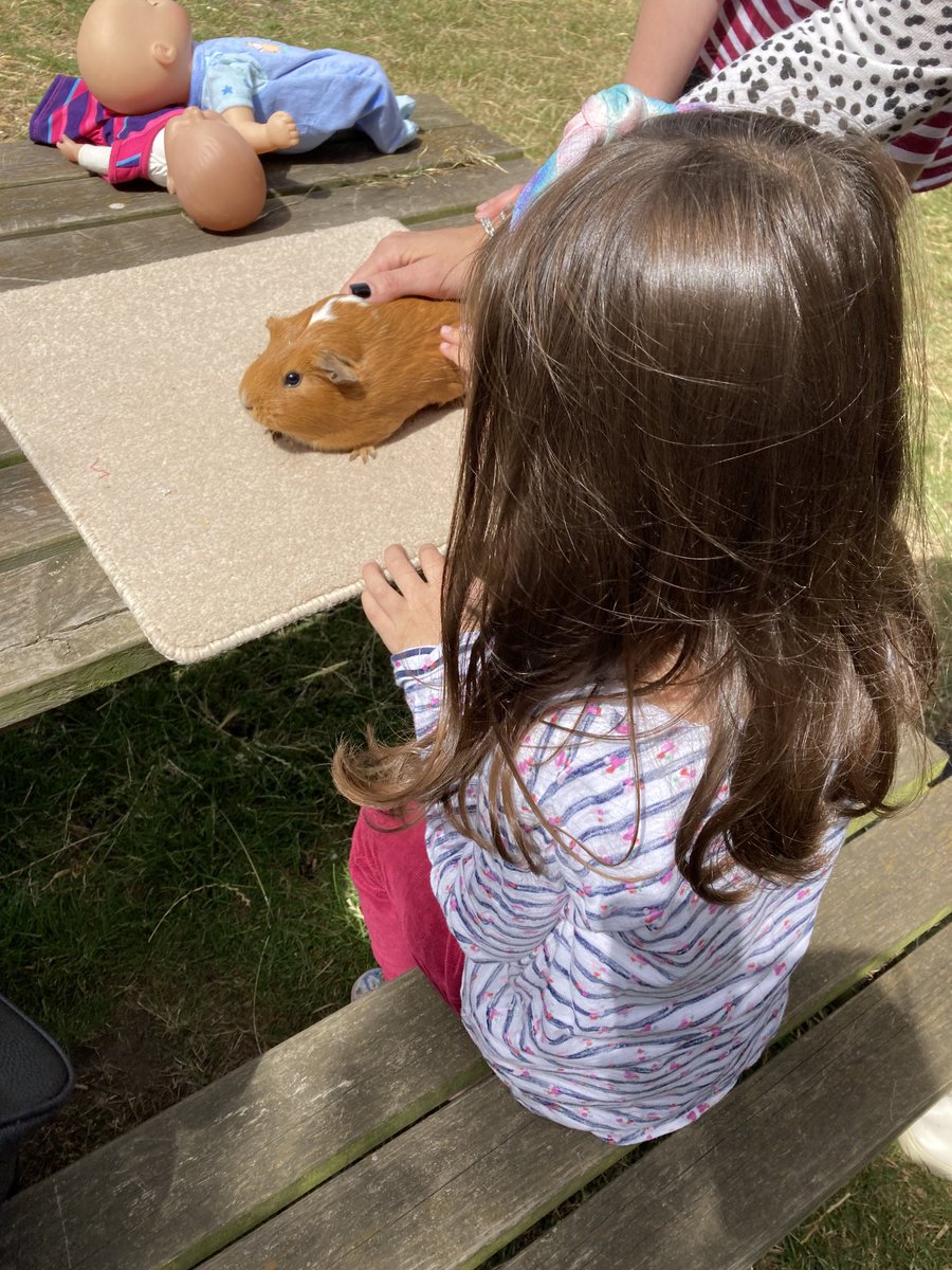 South Wilford CE Primary School tweet media