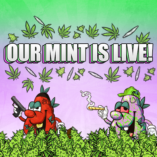 TheStoneyNFT's tweet photo. OUR MINT IS LIVE FOR STONEY BABIES!
https://t.co/qJpMW9qbWS https://t.co/qGMtQJClWu
