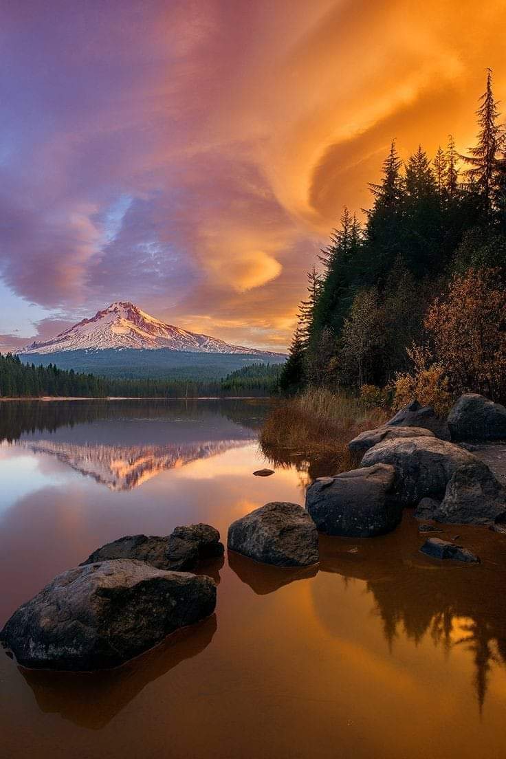 alexa_xan7's tweet photo. Sweet evening https://t.co/zwrt3Go4My