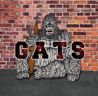 TW Pornstars - Shainarae Loveliest. Twitter. Go check out this project