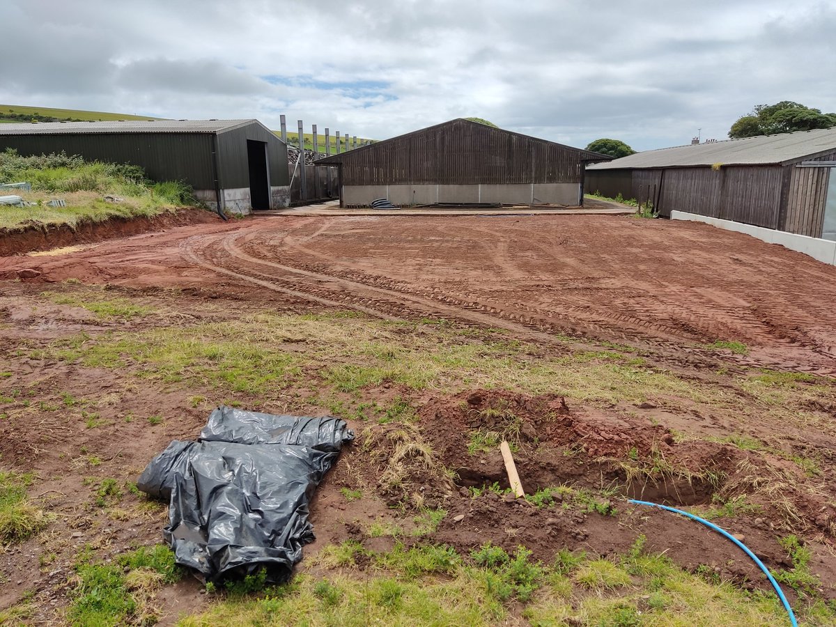 ollytelf's tweet photo. Site cleared time to get the new cubical shed up #expanding #braveorstupid in the current climate https://t.co/bxyzVXpJOH